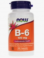 Now Foods B6 100 mg